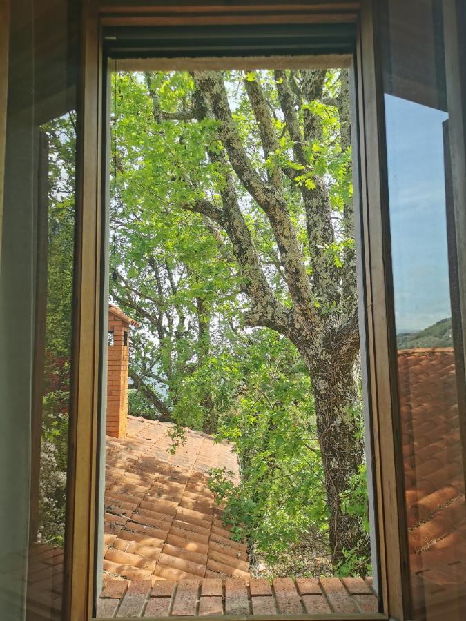L'Albero Del Cioccolato Bed and Breakfast Pigna Exteriör bild