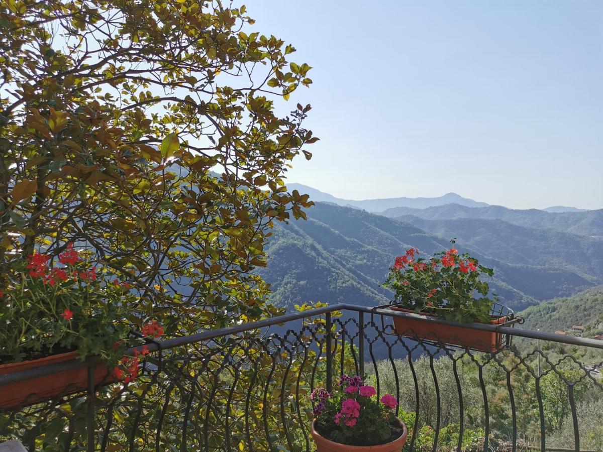 L'Albero Del Cioccolato Bed and Breakfast Pigna Exteriör bild