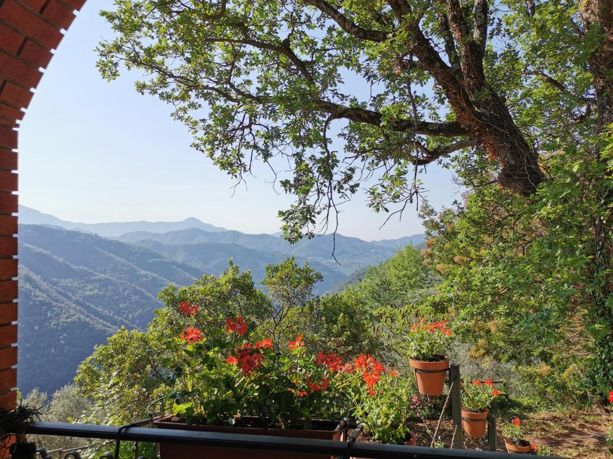 L'Albero Del Cioccolato Bed and Breakfast Pigna Exteriör bild