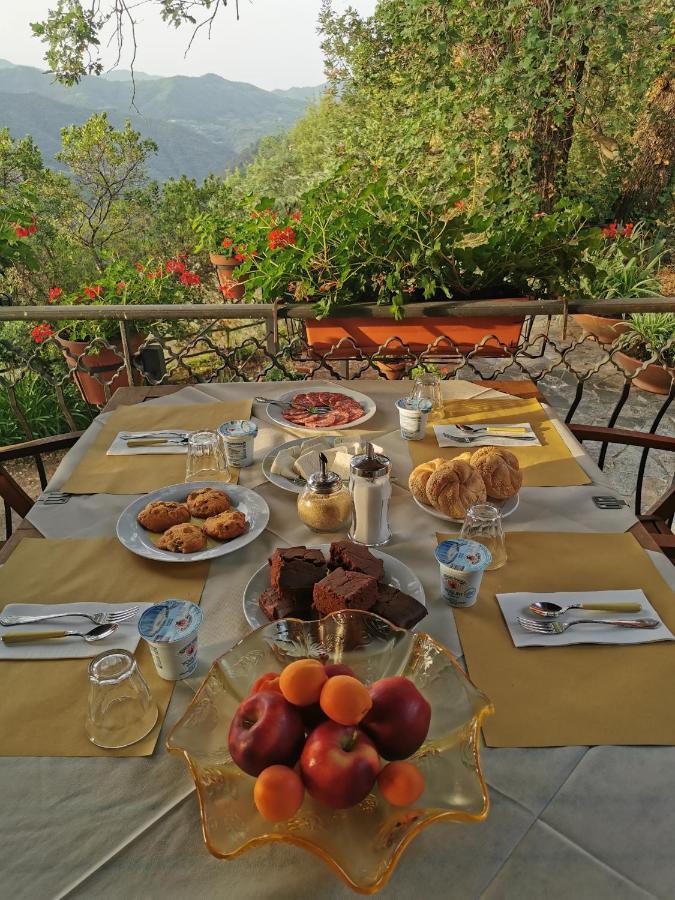 L'Albero Del Cioccolato Bed and Breakfast Pigna Exteriör bild