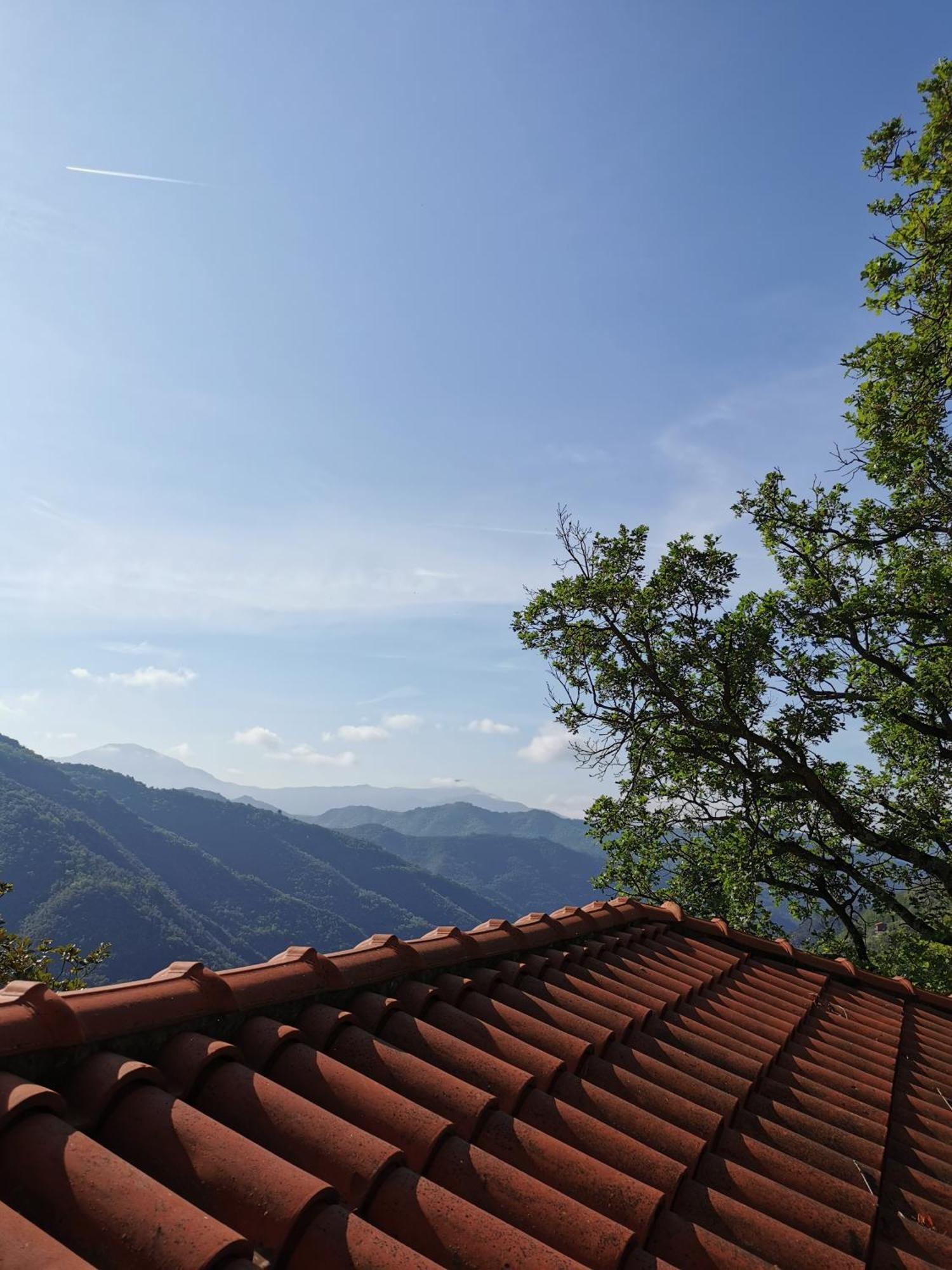 L'Albero Del Cioccolato Bed and Breakfast Pigna Rum bild
